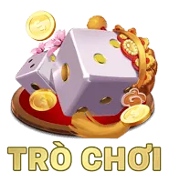 Liên hệ DPO của banca30 nhà cái